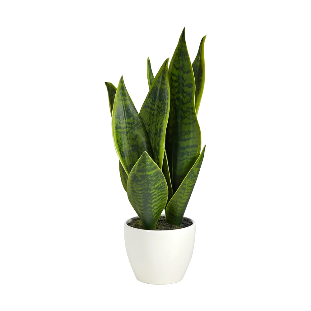 16"Ā Verde Blade Plant - Image 2