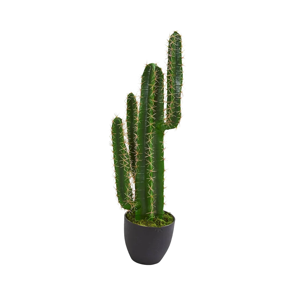2.5 ft. Azure Spire Cactus