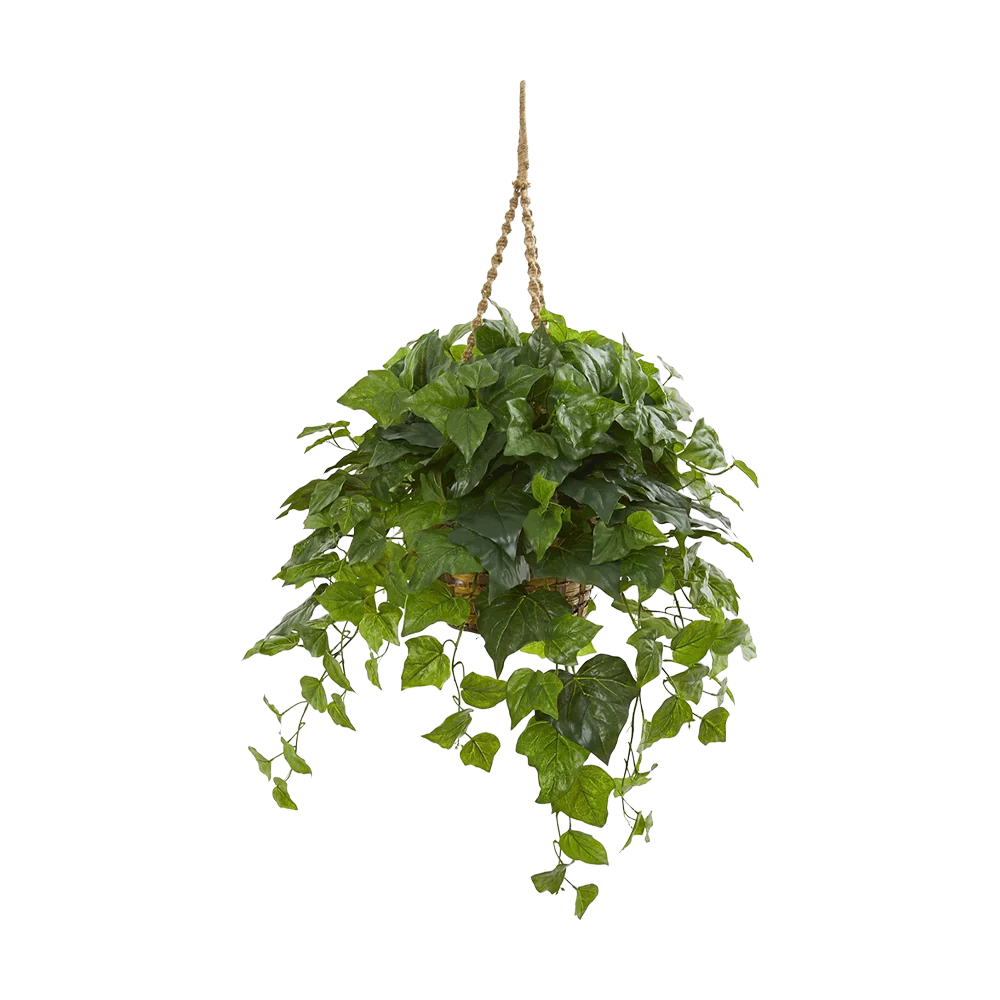38" Emerald Cascade - Hanging Basket Real Touch