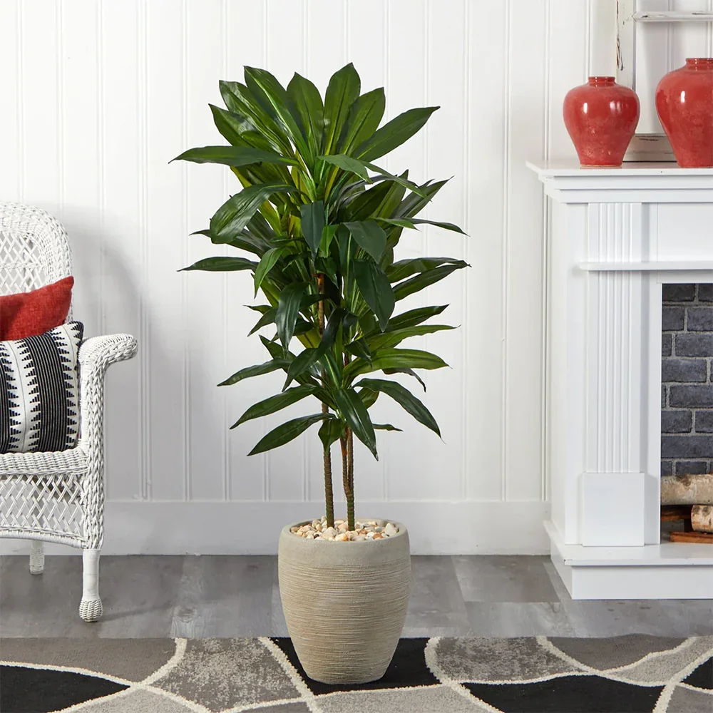 4 ft. Verdana Clay Dracaena with Sand Colored Planter - Image 2