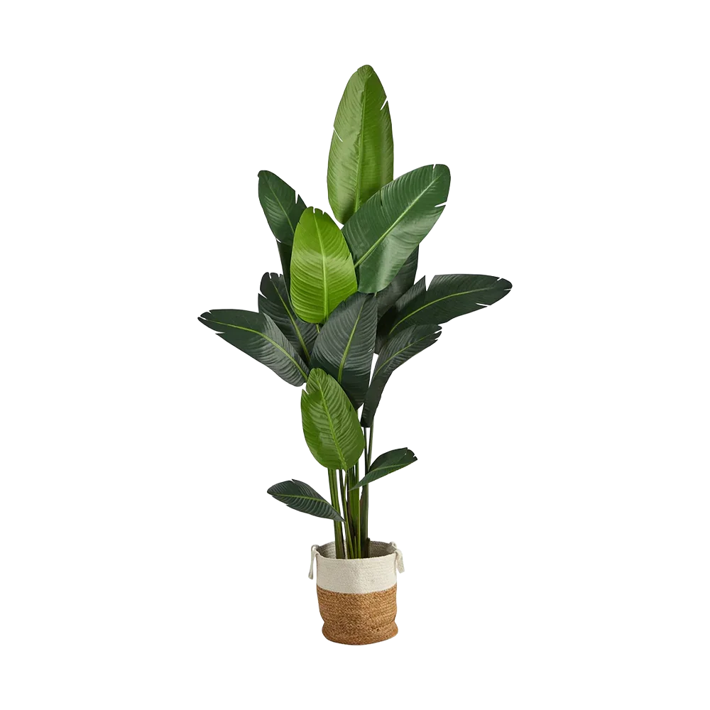7 ft. Nomad Palm Tree