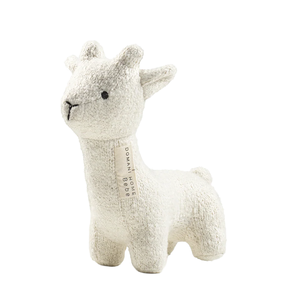 Boucle Llama