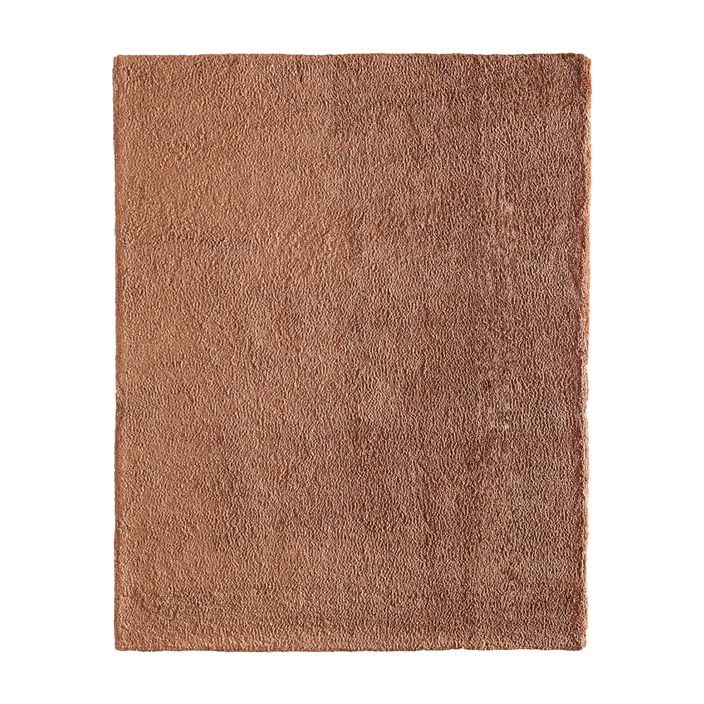 Diera Burnt Orange Rug (8' x 10')
