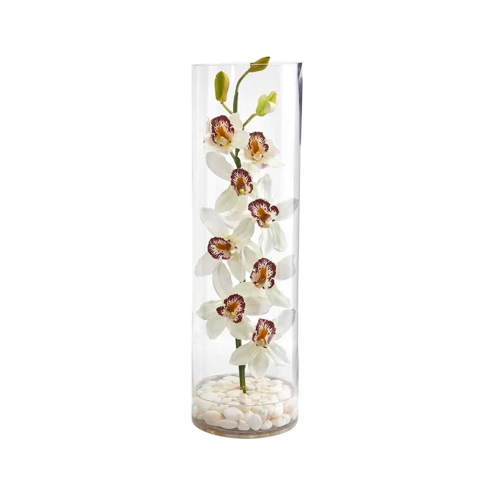 Golden Column Orchid - Image 2