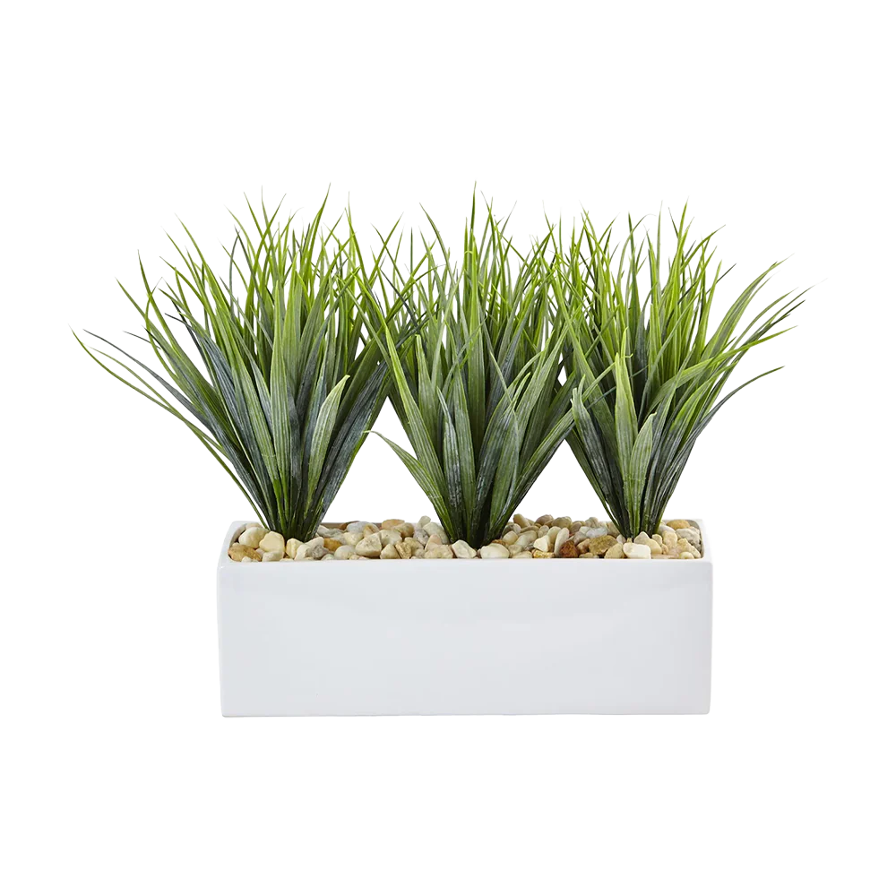 Linear Grass