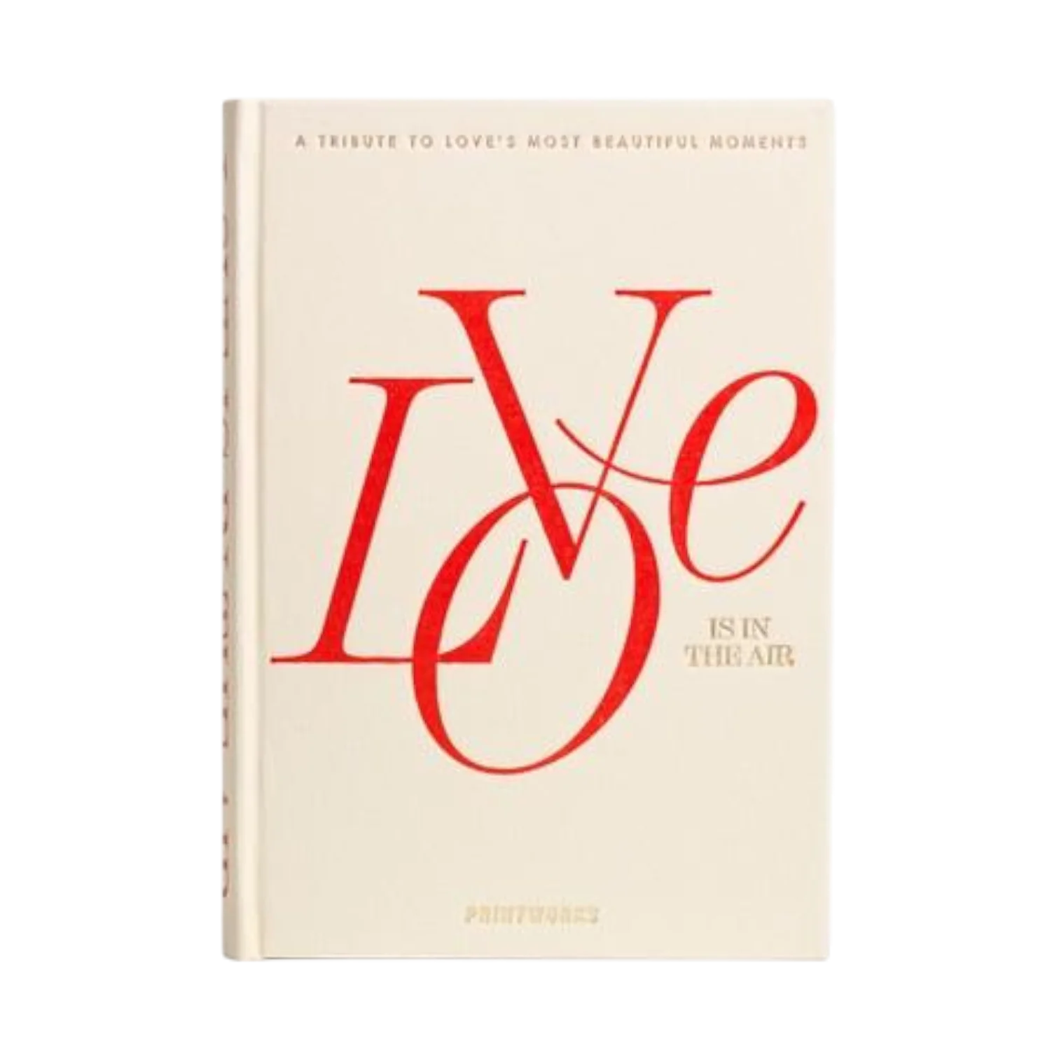 Love Album Photo